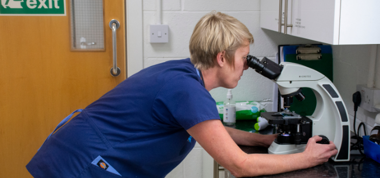 Onsite laboratory for same-day results