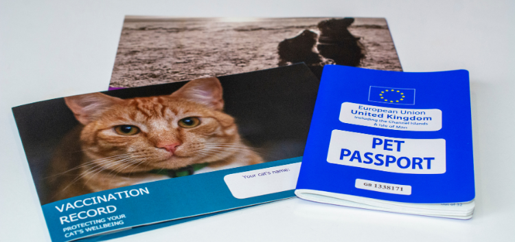 pet passport for air travel