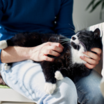 Get The Avenues Vets’ 6-point cat checklist to do at home