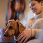 Nicola shares 7 checks you should do on your dog at home and why