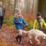 Dogs will love The Avenues Vets’ guide to a tail-wagging December