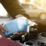 Antifreeze: the killer sugary taste loved by cats