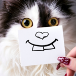 Caring For Your Cat’s Canines with Avenues Vets