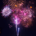 Avenues Vets on Prepping Pets for Firework Season