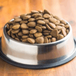 Preventing Pet Obesity with Correct Life Stage Nutrition