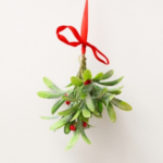 Keeping Pets Out of Trouble This Holiday Season in Lanarkshire