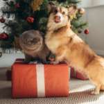 Avenues Veterinary Centre’s Guide to Christmas Trees and Pets
