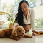 Winter Slump? Here’s Avenues Veterinary Centre’s Tips to Boost Your Pet’s Vitality